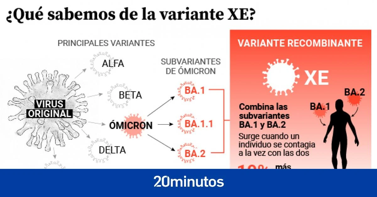La variante recombinante XE de la covid-19 llega a España: ¿puede originar una nueva ola?