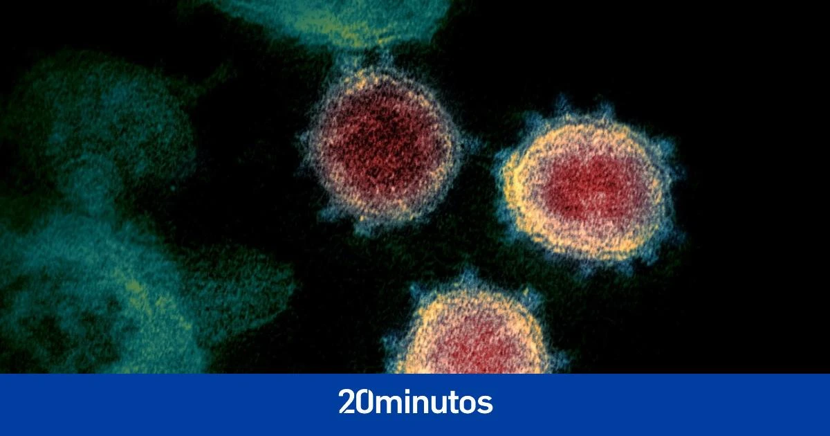 ¿La pandemia de Covid ha acabado? La teoría que defiende un prestigioso virólogo alemán afirma que el virus ya se ha vuelto 