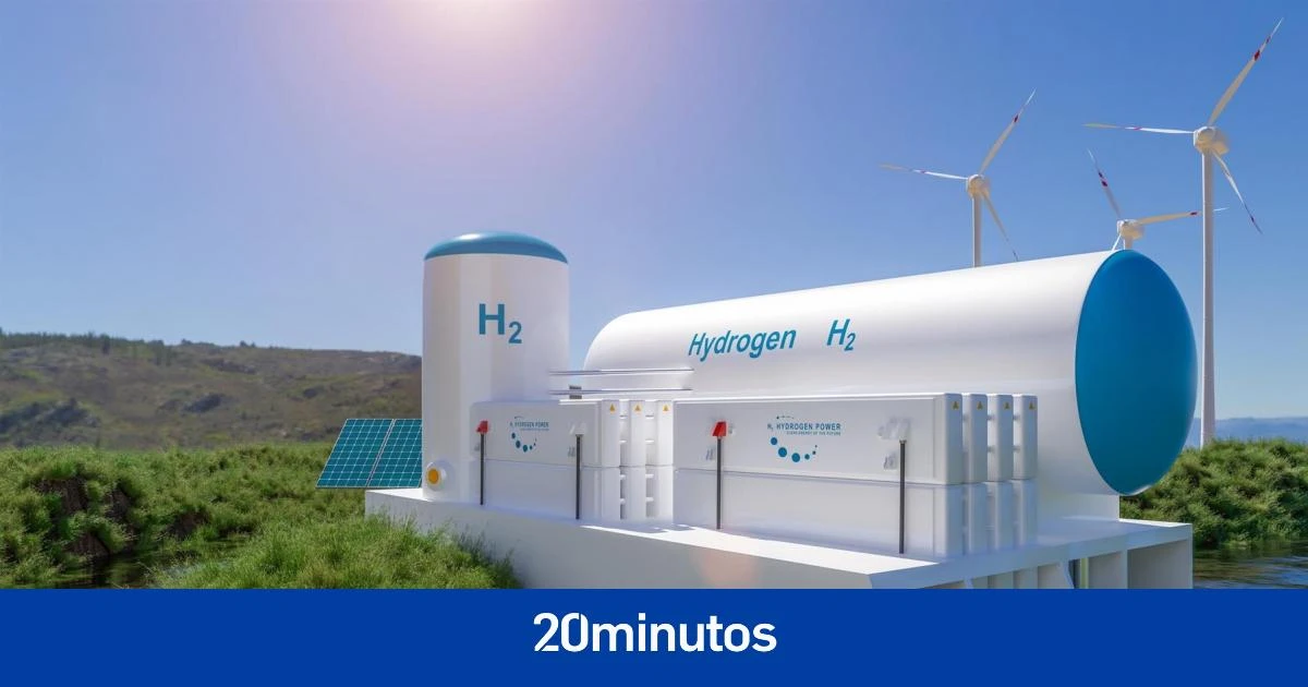 Un proyecto español busca que bacterias modificadas genéticamente hagan hidrógeno verde de agua no potable: ecológico y barato