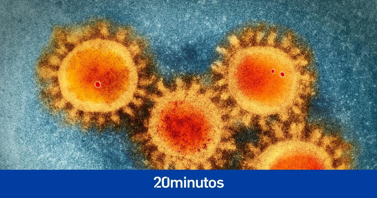 La OMS confirma la presencia de 'Arcturus', una nueva variante de la Covid 