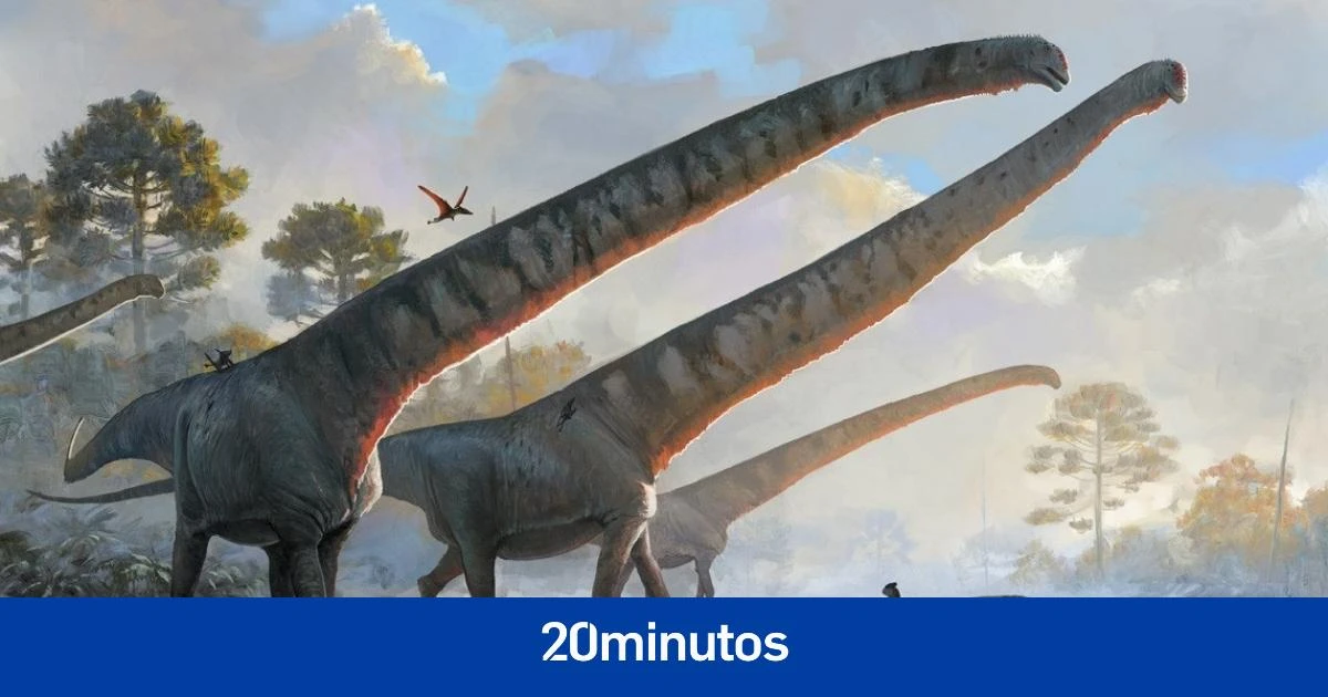 El dinosaurio con el cuello más largo jamás descubierto: ¿para conseguir comida o sexo?