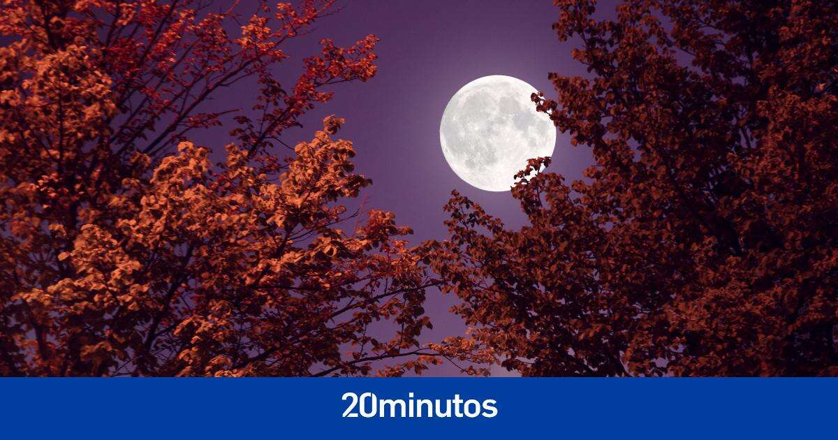 Calendario lunar de abril 2023: Luna llena y otras fases de este mes