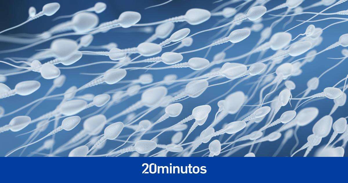 El tejido testicular congelado sigue siendo viable dos décadas después y permite la producción de espermatozoides