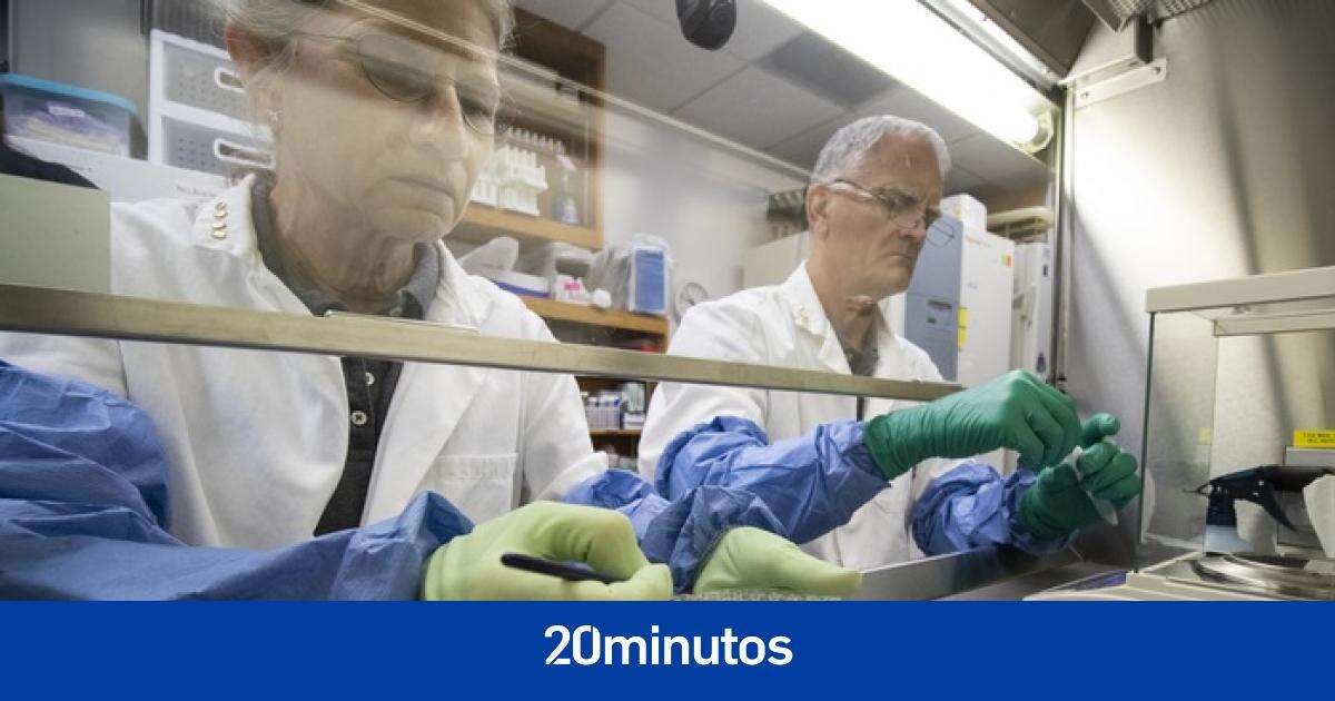 Un paso más cerca de la vida en la Luna: científicos cultivan por primera vez plantas en suelo lunar