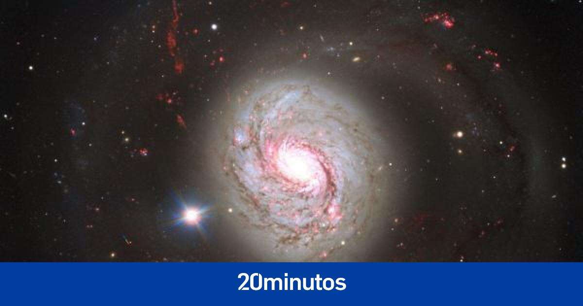 Detectan por primera vez la emisión de neutrinos en una galaxia activa