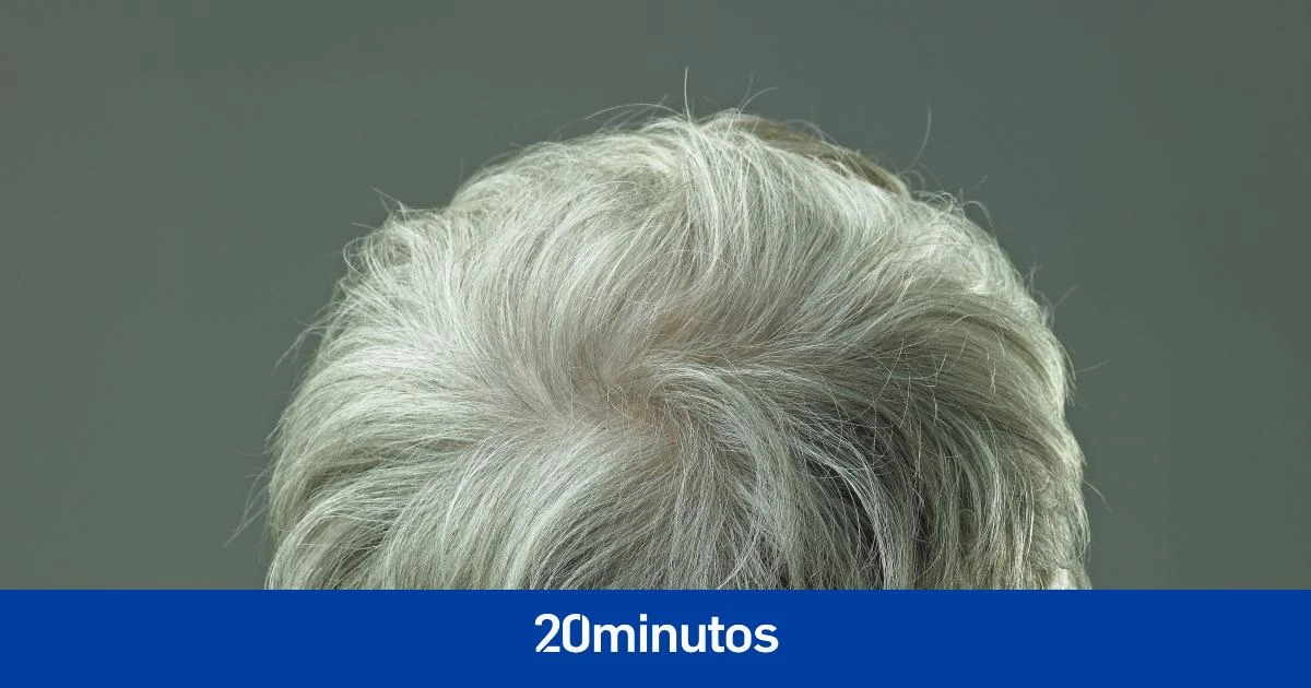 Los científicos hallan el mecanismo que hace que salgan canas y abren la puerta a crear un proceso para 