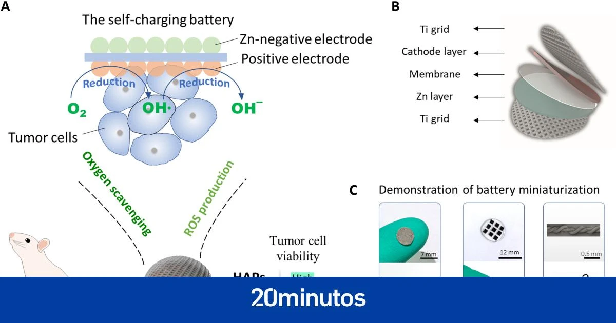 Científicos chinos desarrollan una batería implantable que mata las células tumorales