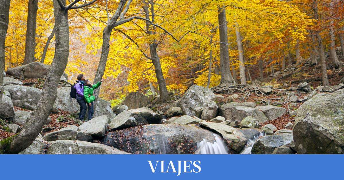 Cinco sencillas rutas senderistas para hacer con niños y disfrutar de lugares mágicos del otoño