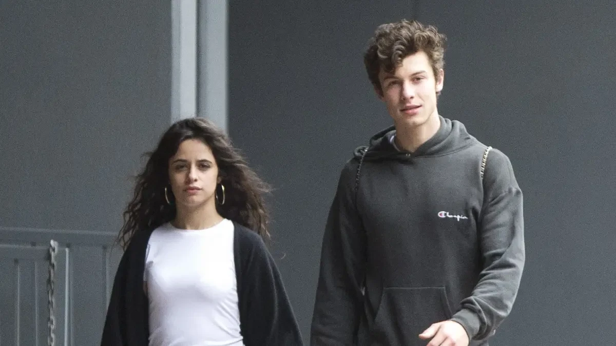 Camila Cabello y Shawn Mendes dan la bienvenida al nuevo miembro de su familia (de nombre Disney)