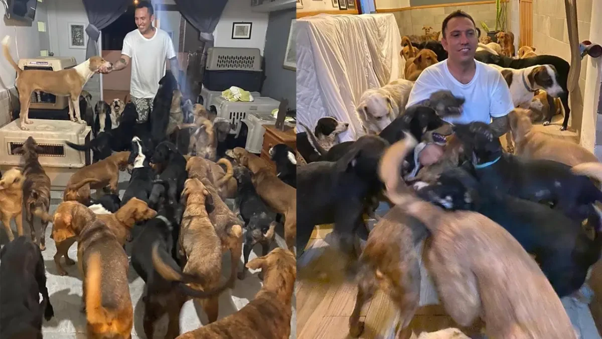 Un activista acoge a 300 animales en su casa para protegerlos del huracán Delta