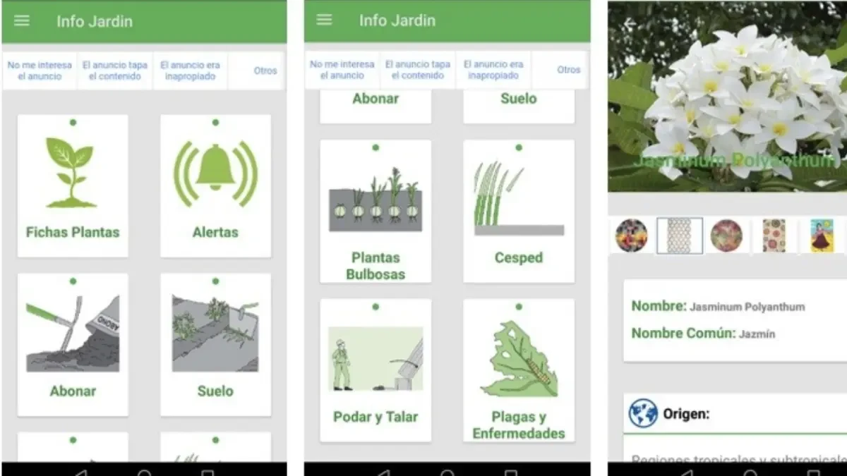 Ocho apps que se pueden convertir en nuestras mejores aliadas para el cuidado de plantas, flores y jardines
