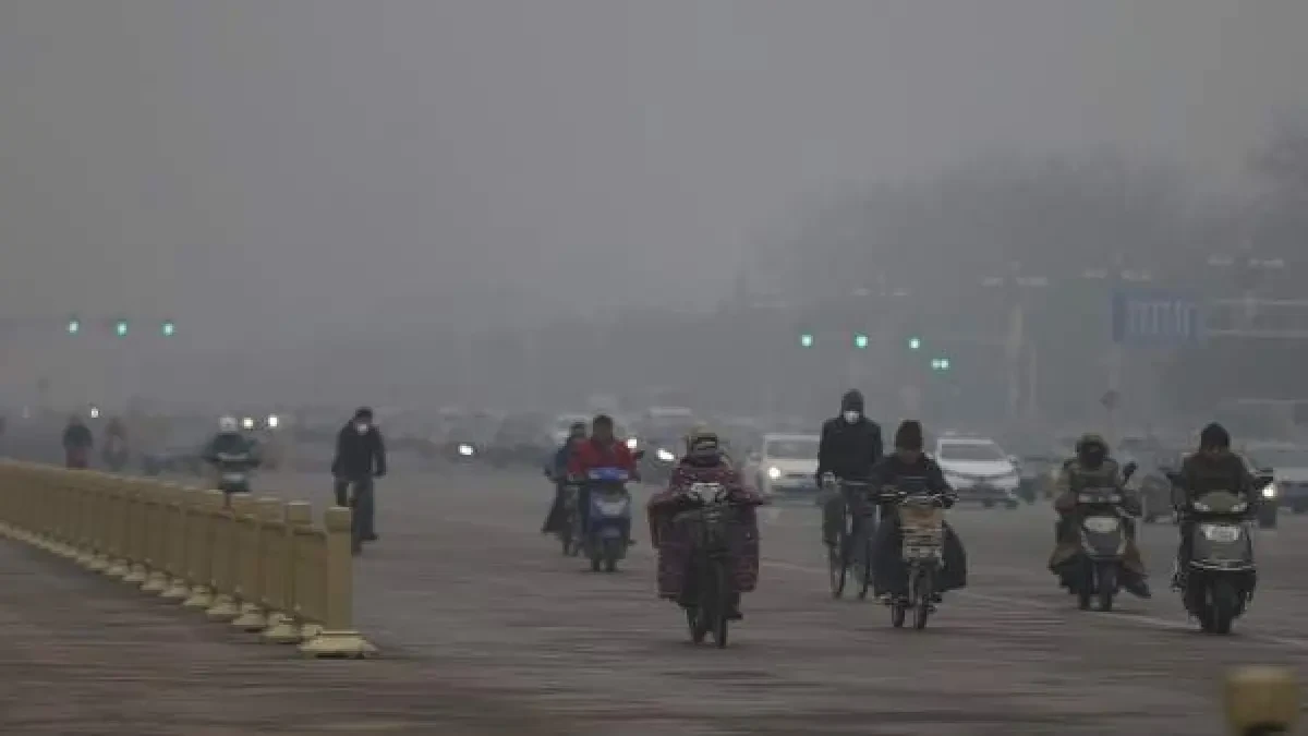 La OMS asocia la pandemia al cambio climático: 