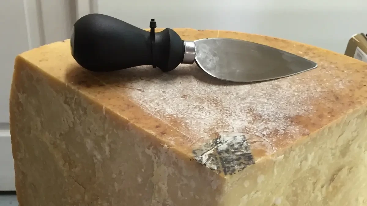 Tipos de cuchillos para cortar cada queso como se merece