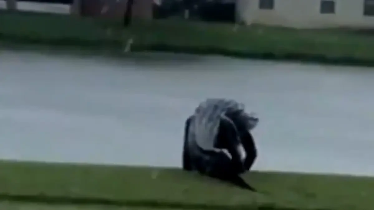 Un cocodrilo campa a sus anchas por un campo de golf por culpa del huracán ETA