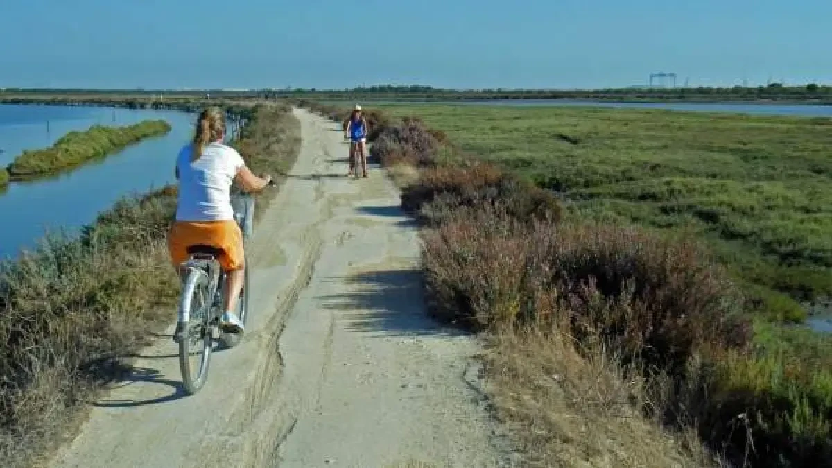 Tesoros naturales de Cádiz para descubrir este otoño