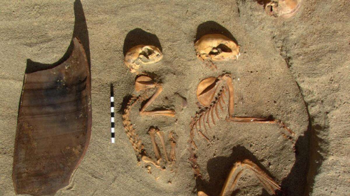 Encuentran en Egipto el cementerio de mascotas más antiguo del mundo, y está dedicado a un animal en especial