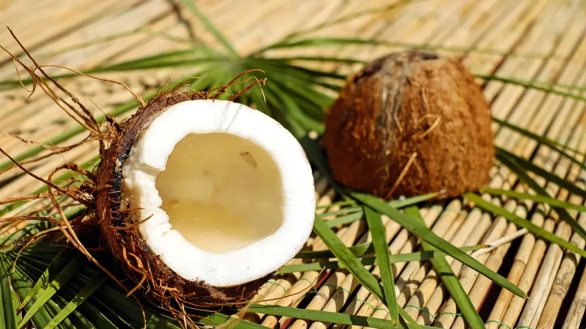 Una escuela acepta que sus estudiantes con problemas económicos paguen la matrícula con cocos