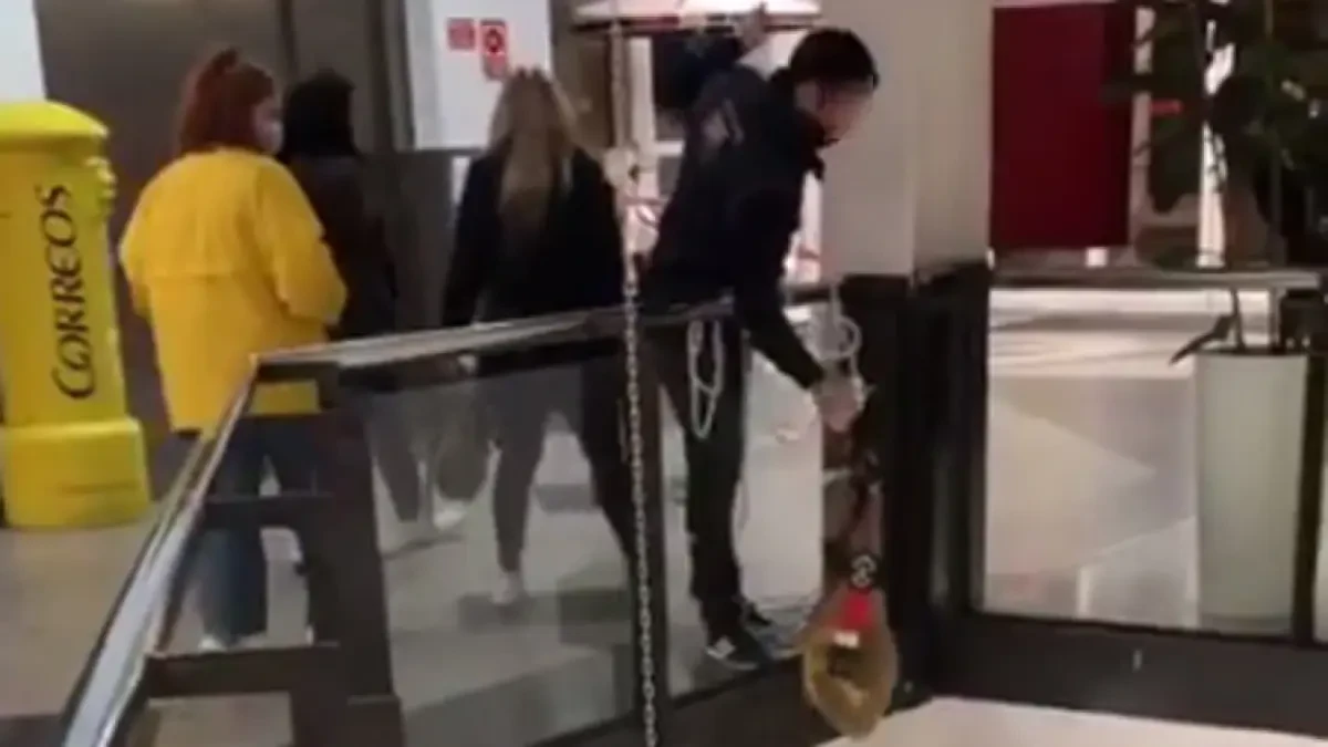 Una pareja roba dos jamones y una tele en un supermercado de Guadalajara a la vista de todos los clientes