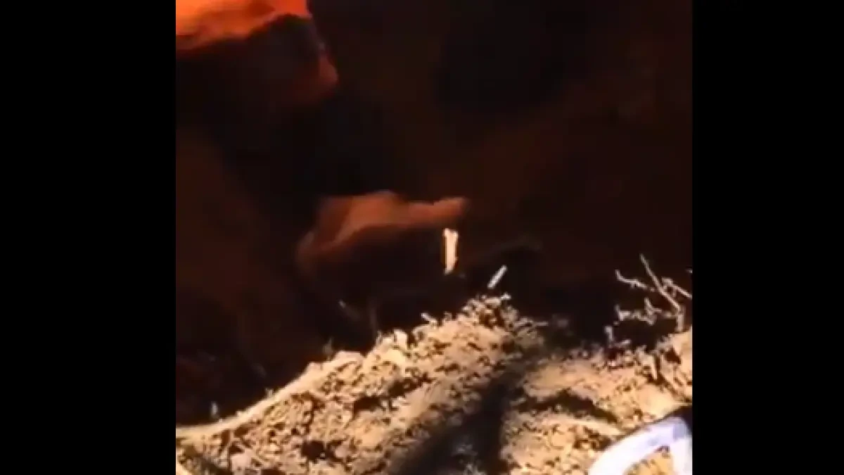 El angustioso rescate de un perro que quedó atrapado en una madriguera para conejos