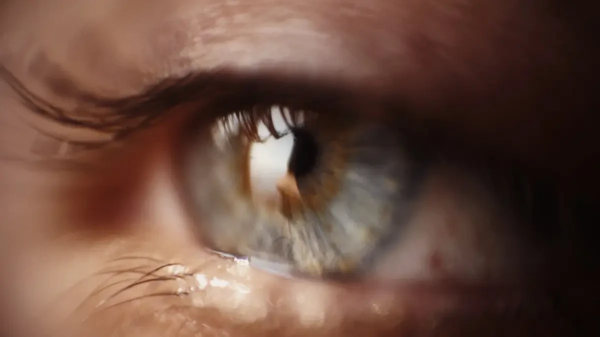 Lenstore: lentillas de todas las marcas al mejor precio
