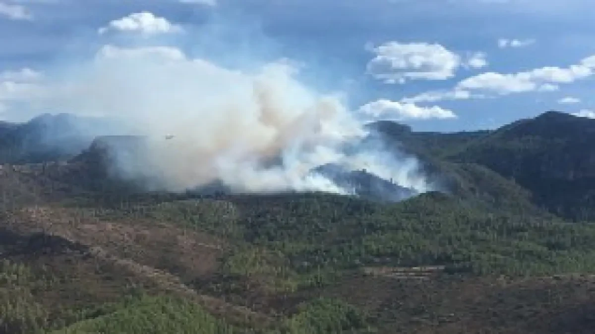 Incendio forestal en la sierra de Tivissa (Tarragona): 40 dotaciones de Bomberos trabajan para extinguirlo