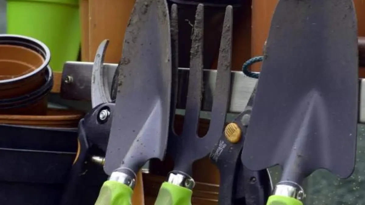 Cómo podar las plantas de exterior: ¿qué utensilios se deben usar?
