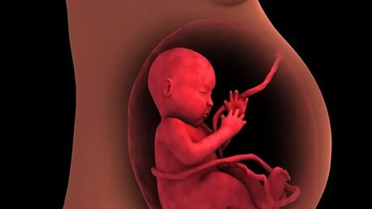 Complicaciones en el embarazo: la placenta envejecida