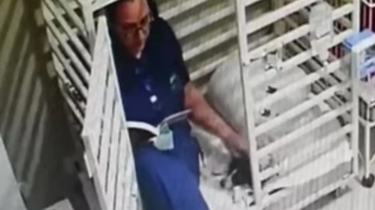 Una veterinaria lee un cuento a un perro enfermo dentro de su jaula y se hace viral