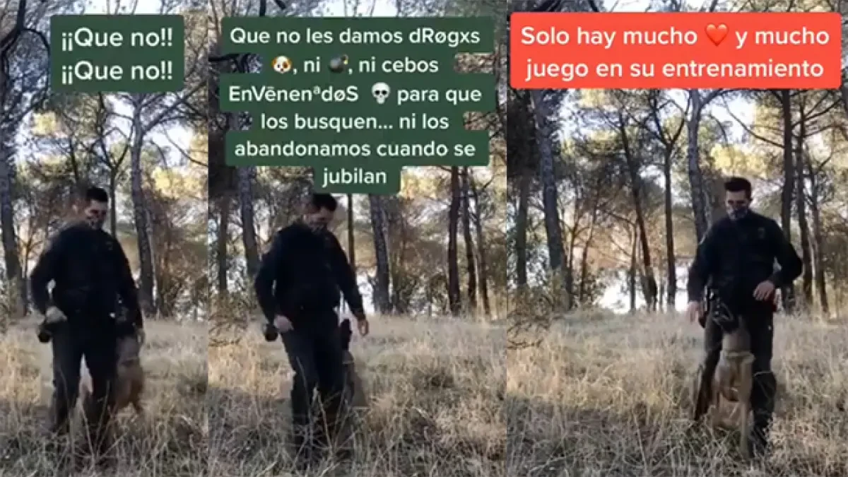 La Guardia Civil se estrena en TikTok con este baile entre un agente y un perro
