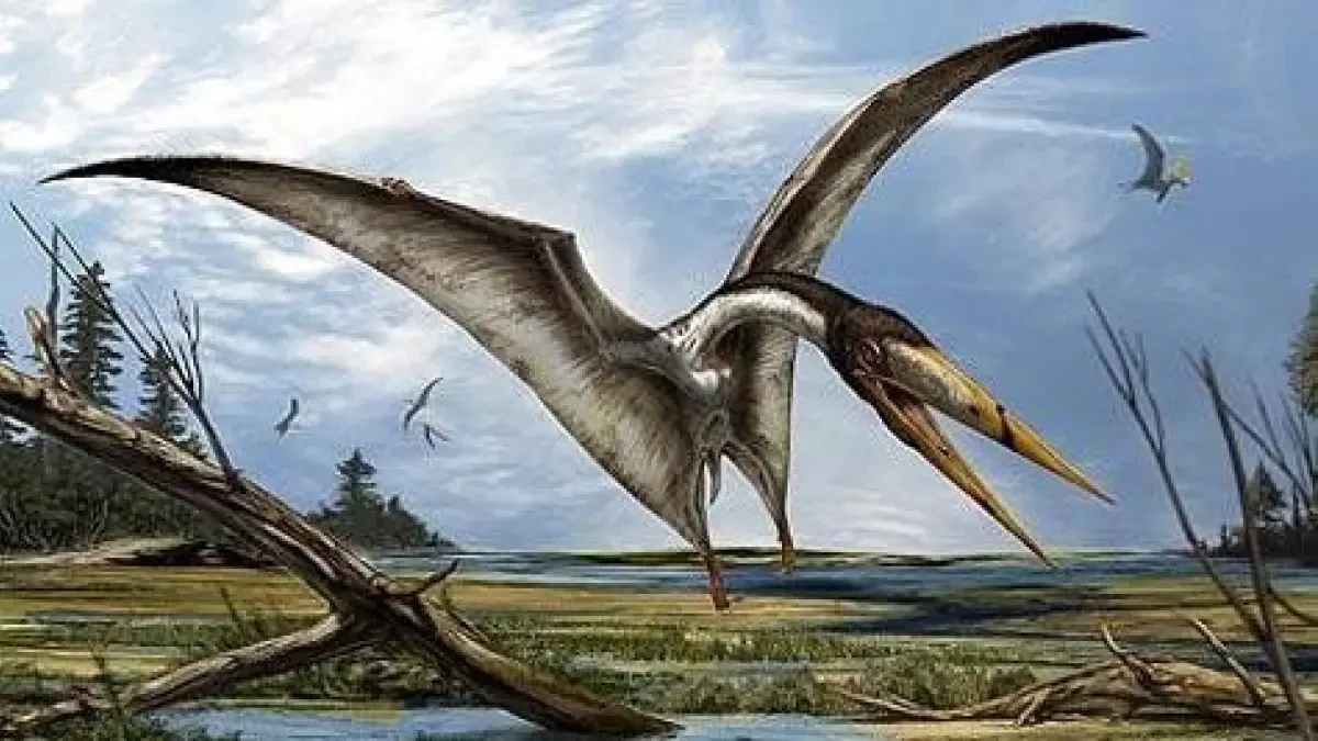 El fósil de un tiburón se convierte en un misterioso pterosaurio