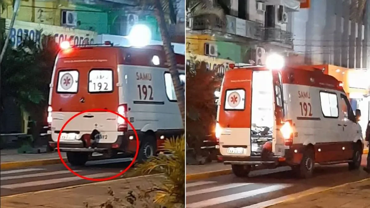 Una perrita se sube al parachoques de una ambulancia para acompañar a su dueño al hospital
