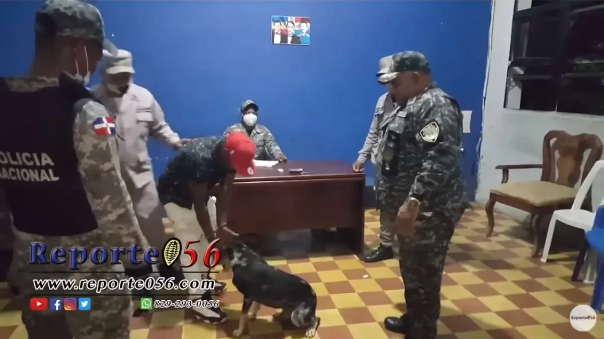 Un perro consigue que la policía libere a su dueño tras acudir a la comisaría para buscarlo