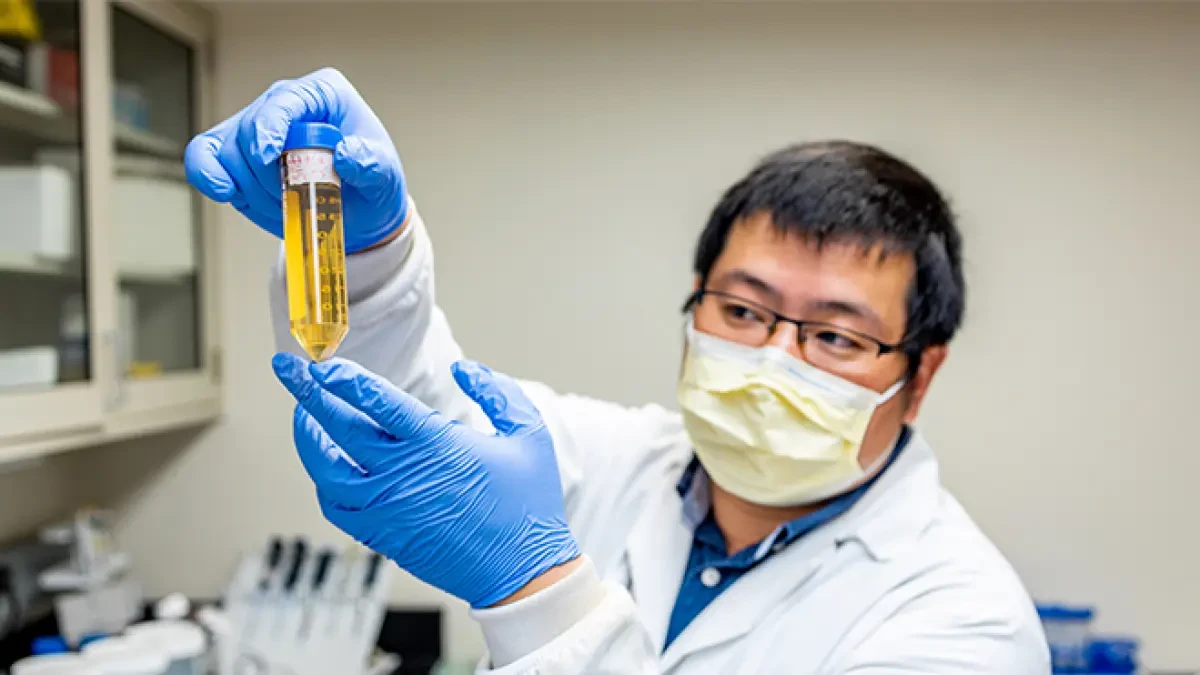 La ciencia halla un anticuerpo minúsculo que neutraliza y previene la Covid