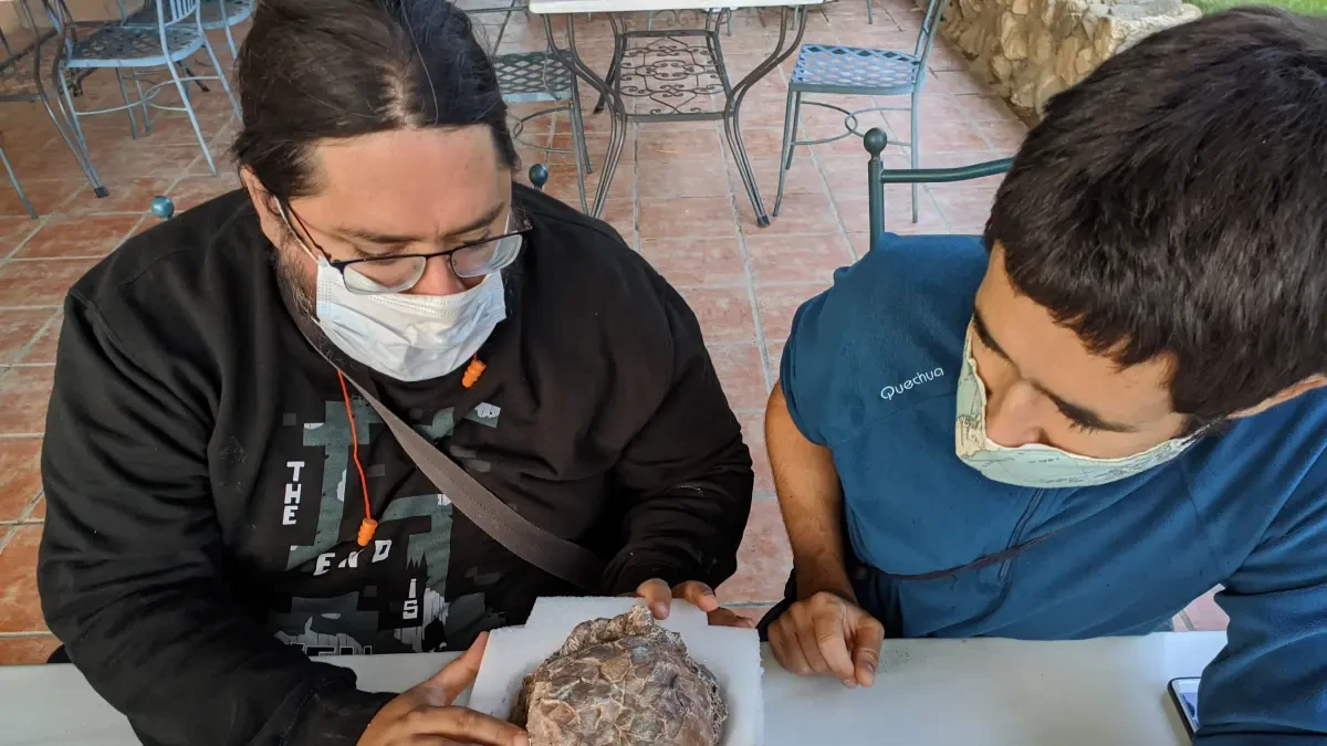 Descubren en España uno de los mayores yacimientos de huevos de dinosaurio del mundo