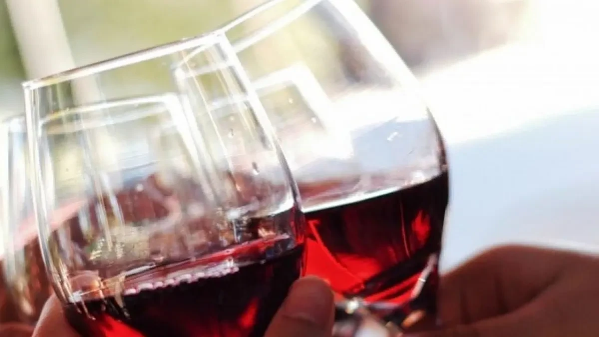 Los mejores tintos de la 'Guía de vinos' de la OCU