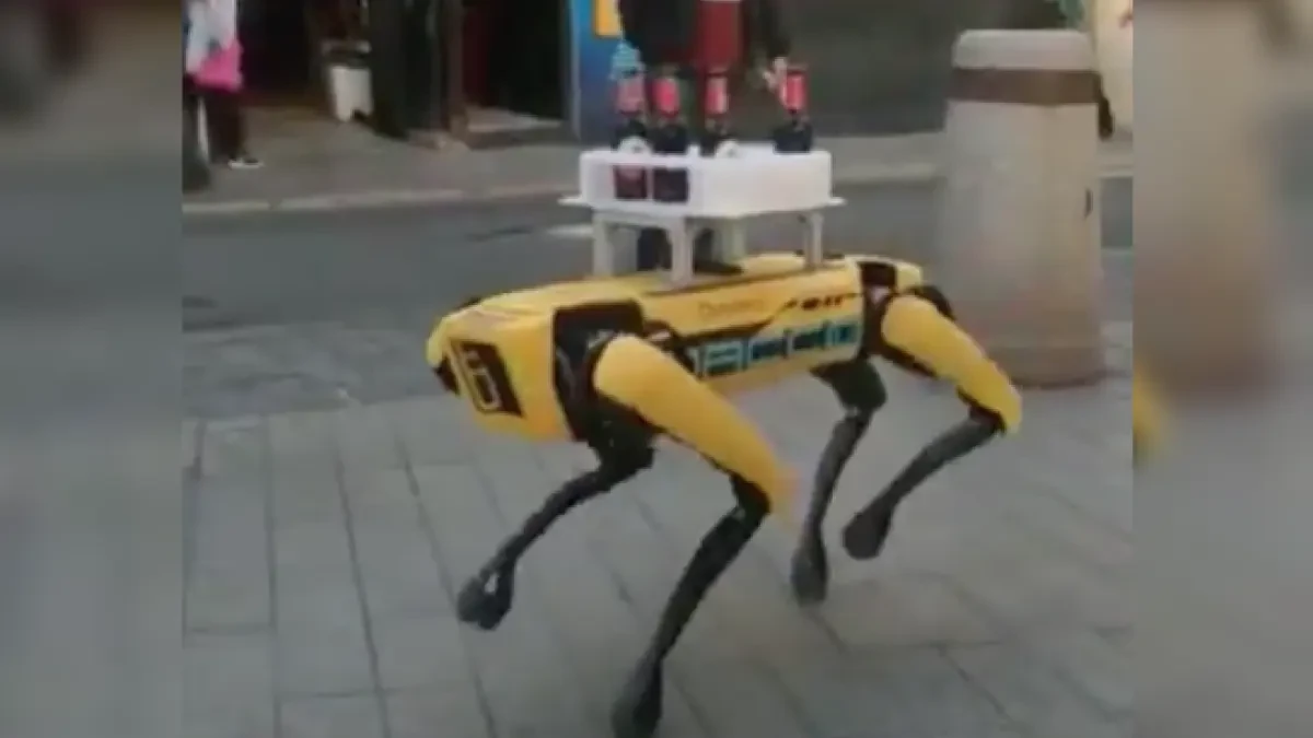 El famoso 'perro robot' de Boston Dynamics llega a Sevilla para repartir cervezas en una terraza