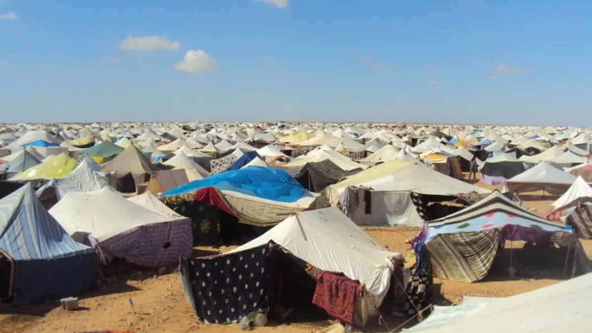 El Sahara Occidental, un conflicto que la ONU sigue sin resolver y donde vuelve la guerra: 