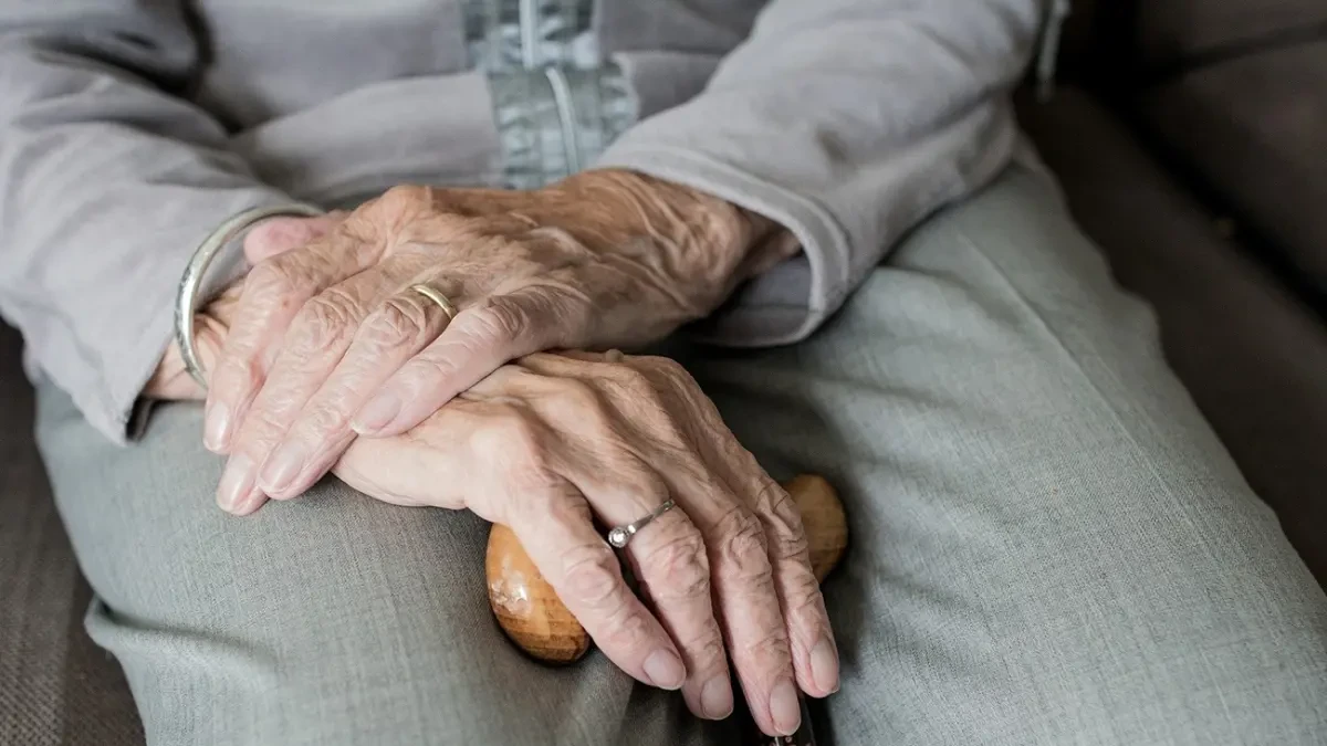 Siete de cada diez 'millennials' en la Comunitat Valenciana ven necesario reformar el sistema de pensiones