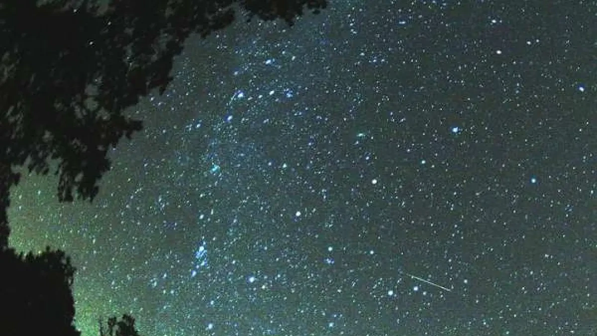 Cómo observar la lluvia de estrellas de las Leónidas del lunes 16 al martes 17 de noviembre