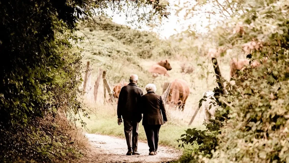 El gasto en pensiones se disparará al 14% del PIB... y será aún mayor si los daños de la covid se alargan en el tiempo