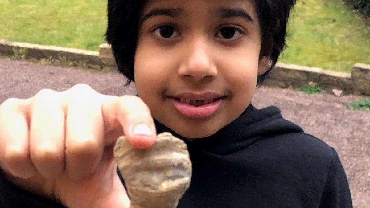 Un niño de 6 años descubre en su jardín un fósil de 480 millones de años con un kit que le regalaron en Navidad