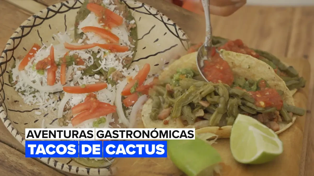 Tacos de cactus, una receta para paladares aventureros