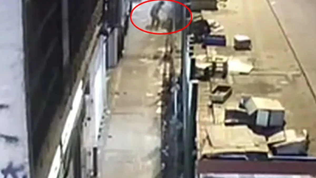 Detenido el presunto asesino en serie que mató a ocho personas sin techo apuñalándolas mientras dormían