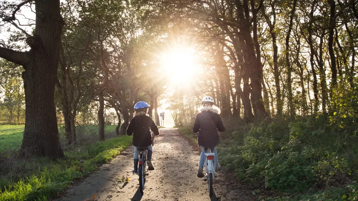 Las bicis para niños y para la ciudad ganan popularidad en las ventas