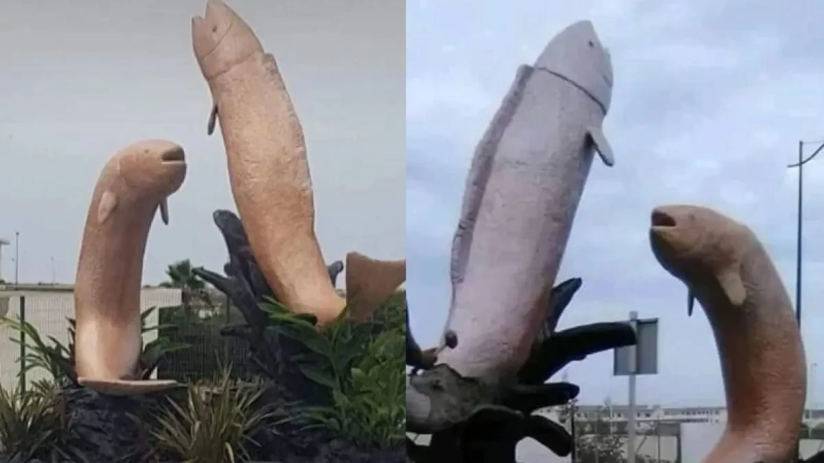 Retiran las esculturas de dos peces en un pueblo de Marruecos porque parecen penes