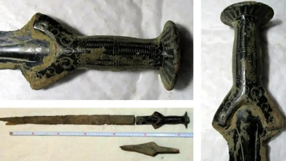 Un hombre va a buscar setas a un bosque y encuentra una espada de 3.300 años de antigüedad