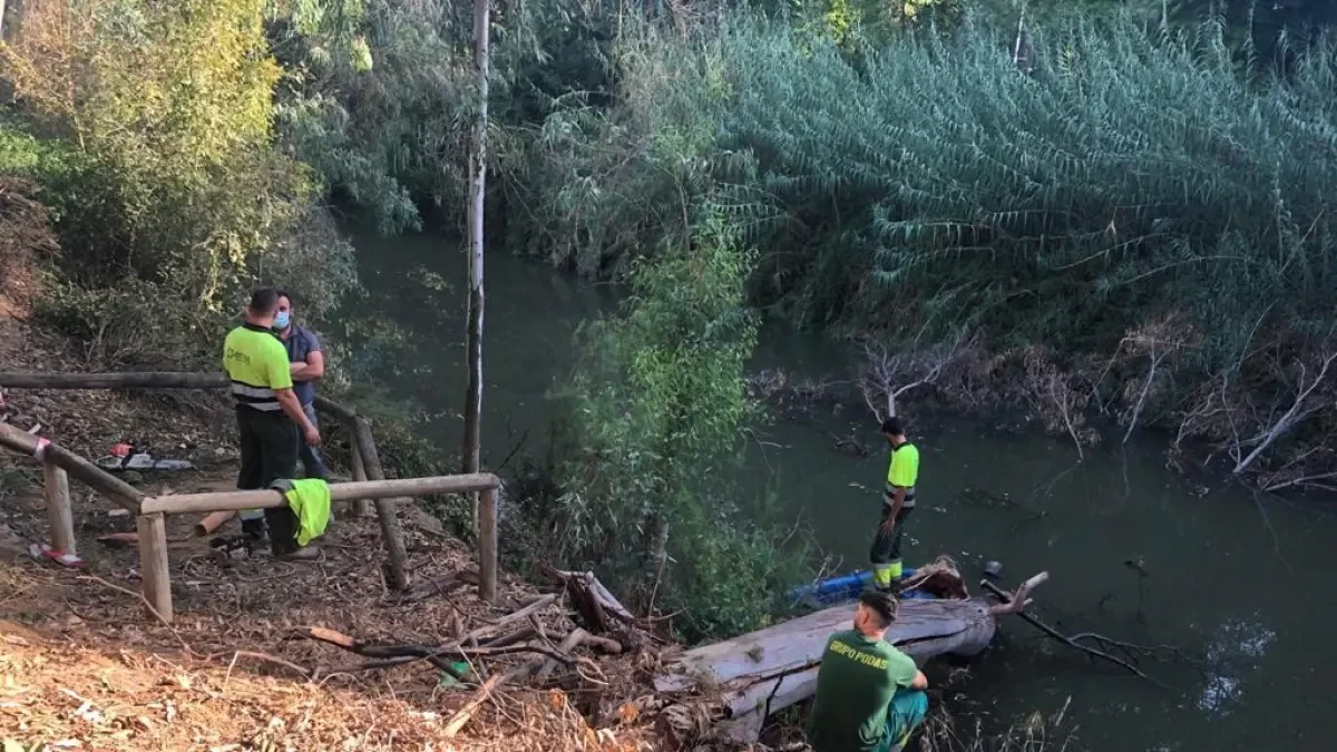 Retirados los árboles caídos sobre el Guadaíra y ejemplares enfermos que se sustituirán por otros autóctonos