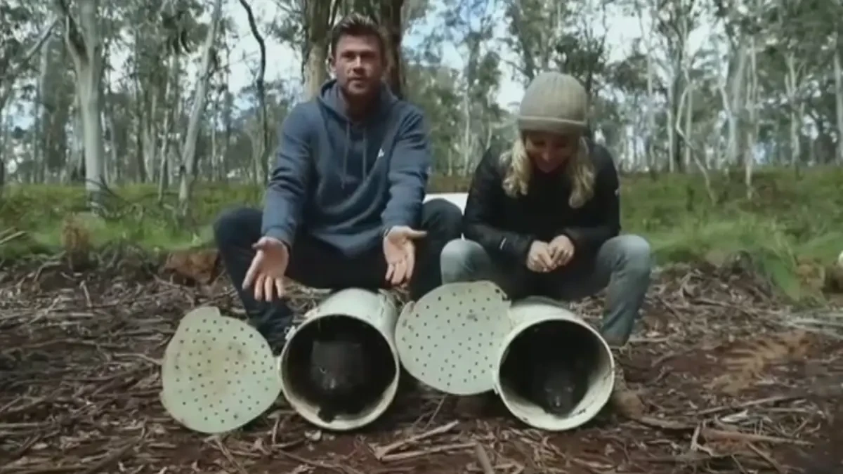 Chris Hemsworth y Elsa Pataky sueltan dos demonios de Tasmania
