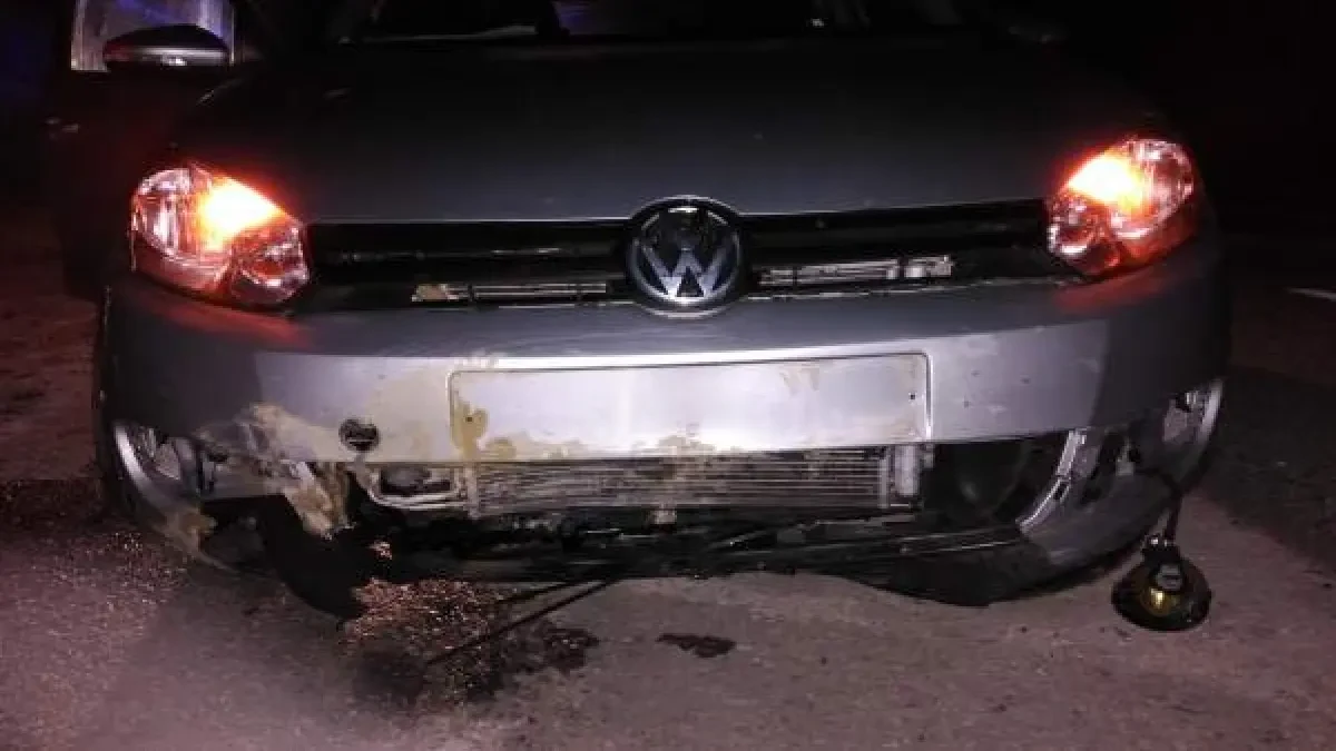 Choca contra un jabalí, sale del coche para comprobar los daños y sufre un paro cardíaco que lo mata en el acto