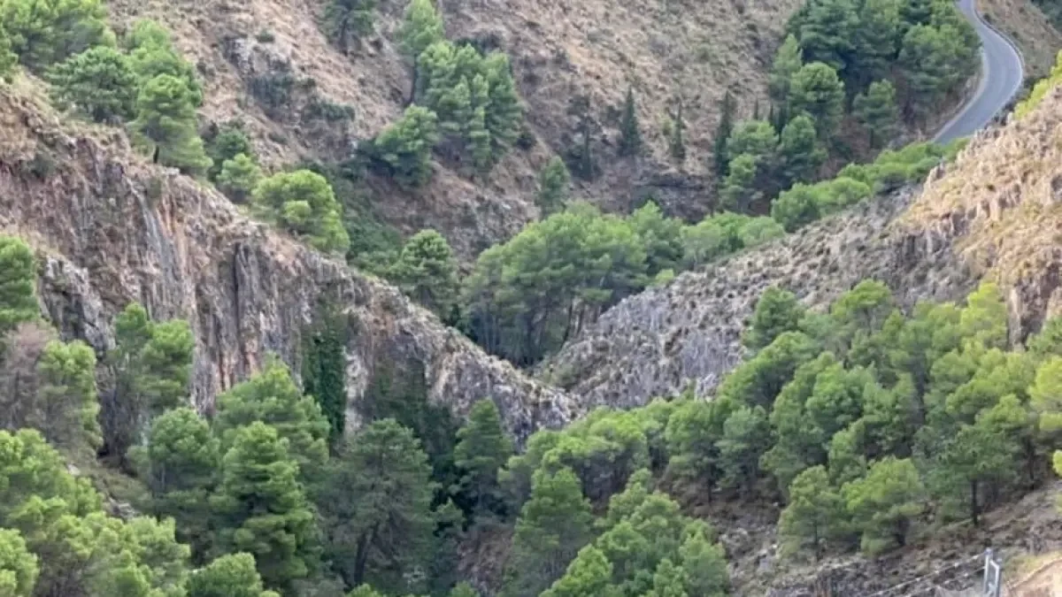 La Gran Senda se enriquece en la Axarquía con un puente colgante de 50 metros
